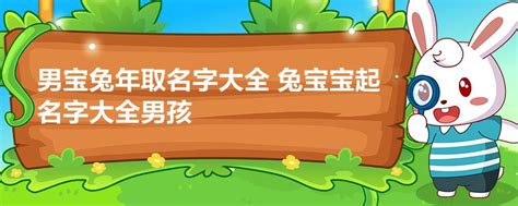 兔年名字|2023兔年男宝宝取名起名字大全：沉稳霸气的男孩名。